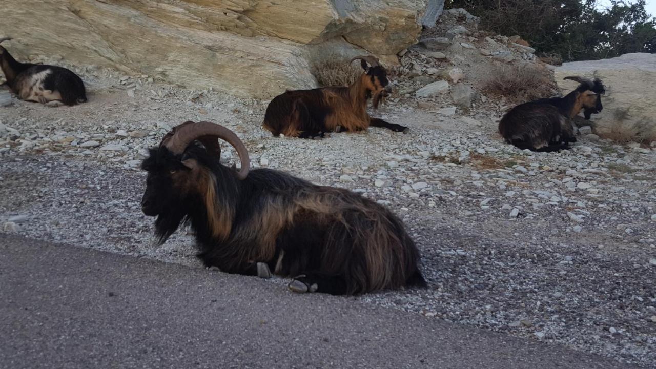 Villa Acqua Doria Coti Chiavari Bagian luar foto